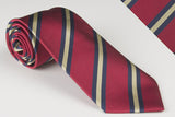 Duke of Edinburgh Wiltshire Regiment Regimental Stripe (S125)