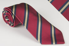 Duke of Edinburgh Wiltshire Regiment Regimental Stripe (S125)